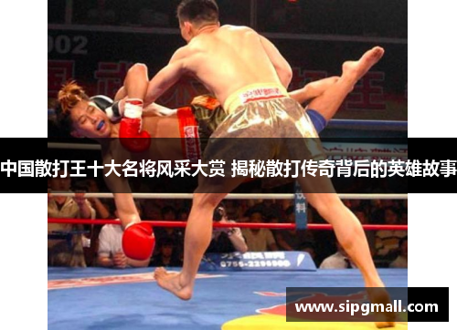中国散打王十大名将风采大赏 揭秘散打传奇背后的英雄故事