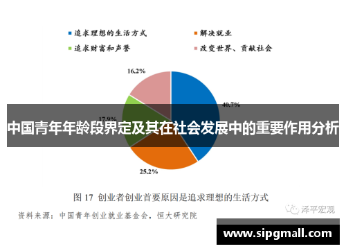 中国青年年龄段界定及其在社会发展中的重要作用分析